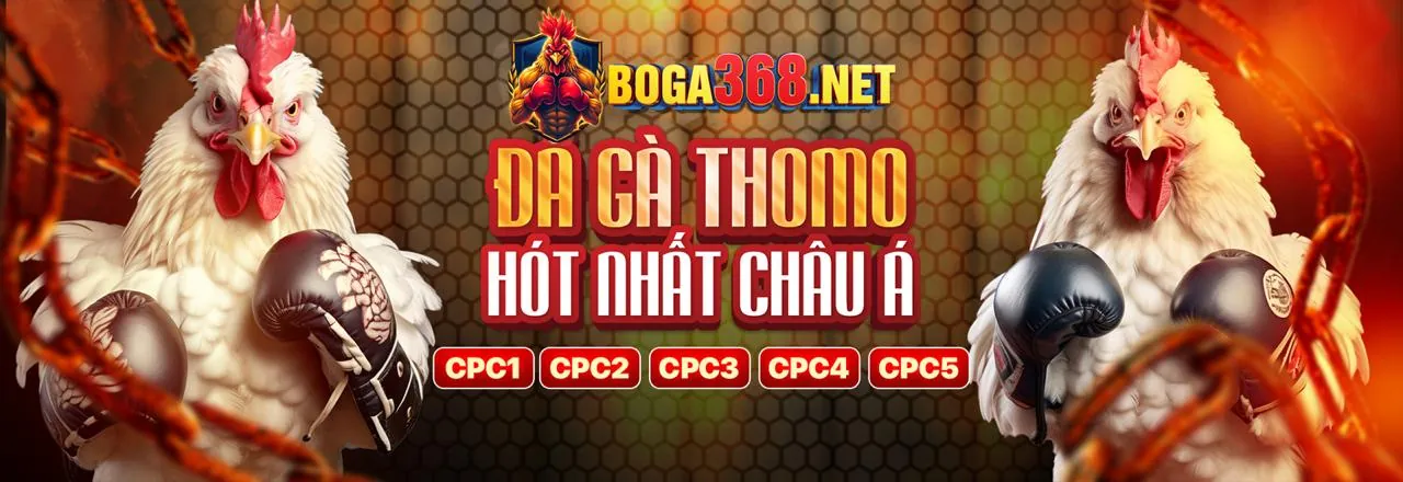 Khuyến mãi và Ưu đãi hấp dẫn